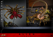 [Pre-Order] MMS793 - Alien: Romulus - 1/6th scale Rain Carradine Collectible Figure