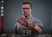 [Pre-Order] MMS795 - Terminator 2: Judgment Day - 1/6th scale T-800 (2.0) Collectible Figure